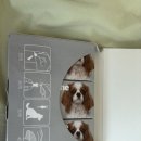 성정동물약국 이미지