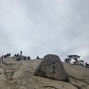 삼세판 - 영도구 절영로93번길 36 | 관악산 3번 오르면 최대 5만원? 삼세판 이벤트 총정리