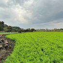 미로펜션민박 이미지