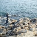 해넘이타운 이미지