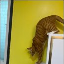 스테이모든순간 이미지