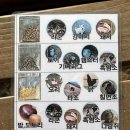 찬우물생태 이미지