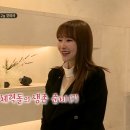 로즈마리숲 이미지