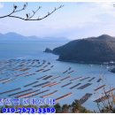 완도참전복 이미지