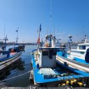 주문진황소국밥 이미지