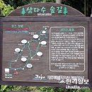 삼다수숲길 주차장 이미지