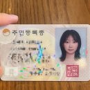 댕댕이 지구대 | 꾸역꾸역 나에일상