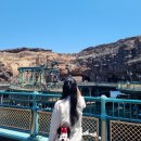 산호성 | [2024 도쿄여행3] 디즈니씨 하루 종일 알차게/ 빌리브씨 DPA