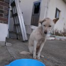 백구보건지소 이미지