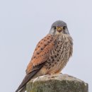 호산여성병원 이미지