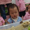 해성어린이집 이미지