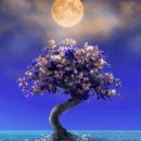 유연참치 이미지