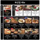 철길부산집고양