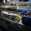 조개몽땅 이미지