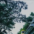 메트로하이브