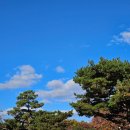 서순라길 이미지