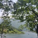 산막이어울림 민박 | 괴산 산막이 옛길(충북 괴산군)