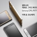 알파 이미지