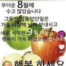 8월의 마지막 날^^ 이미지