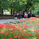 박종진 농장 이미지