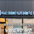 셀포랩리즈핏