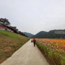 단양보건소 건너편 네이버블로그