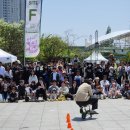 D-15 | [주말당일치기] 안산 : 2026 안산거리극축제 참관후기