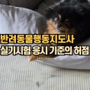 해든솔 | 반려동물행동지도사 실기시험 문제점