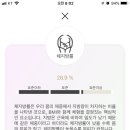 롬브 이미지