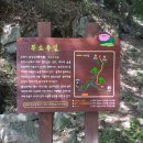 순천 나무숲 이미지