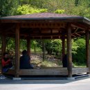 철쭉동산 이미지