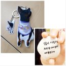 [공지] 2025년 5월 강쥐별냥이별 오프라인 펫로스 치유모임 후기