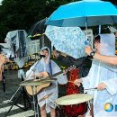 강정해군기지3가 이미지