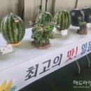 신엄리새마을회