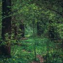 가야골프랜드 이미지