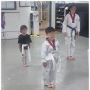 가좌태권도 이미지