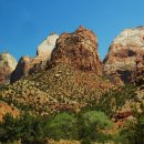 자이언(ZION) 이미지