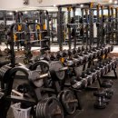 휘트니스 더 레이 이미지