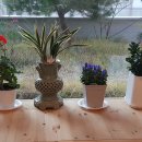 미르공인중개사사무소 이미지