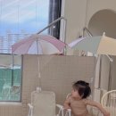 조이풀(joypool)