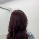 하이소헤어