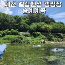 충북 제천 엘림펜션캠핑장 송계계곡 물놀이