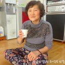 하1리 마을회관 네이버블로그