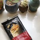 부리또만나 | CU에서 매드포갈릭 감성 즐기기🌯 갈릭비프부리또 후기