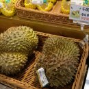 신화식자재마트