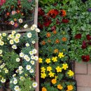 신행정사 사무소 이미지