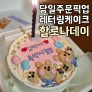 할로나데이 이미지