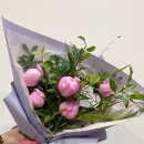아이올라피움 이미지