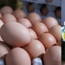 정이네(분식) 이미지