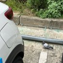 주식회사 개신남 | [곰신 로그] 남자친구 군대 휴가로 떠난 11주년 기념 1박 2일 태안 여행(가성비 풀빌라 추천, 청산수목원)